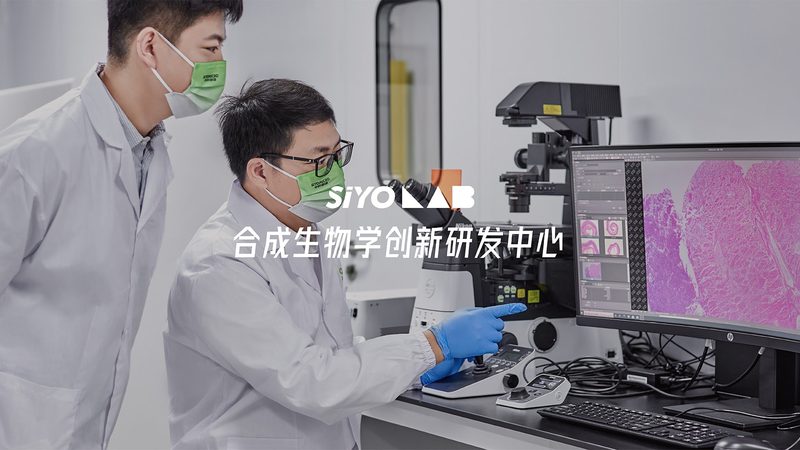 CRO数据分析流程：揭秘生物科技研发背后的关键步骤