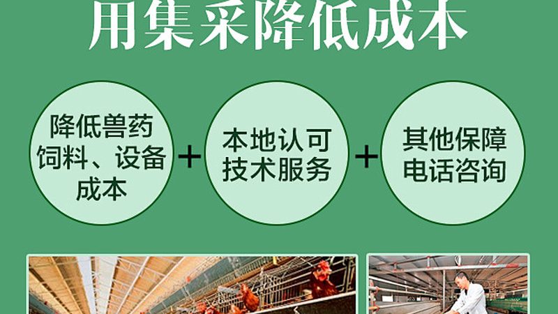 生物医药外包质量标准协议：构建安全可靠的研发桥梁
