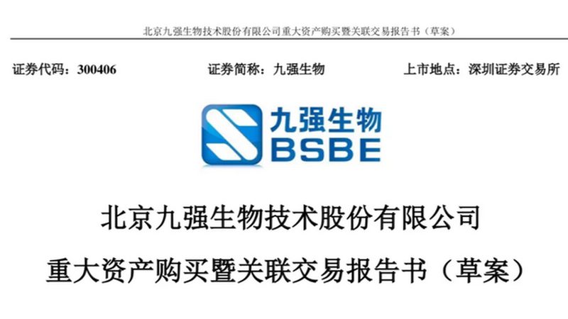 D细胞培养：关键步骤与注意事项解析**
