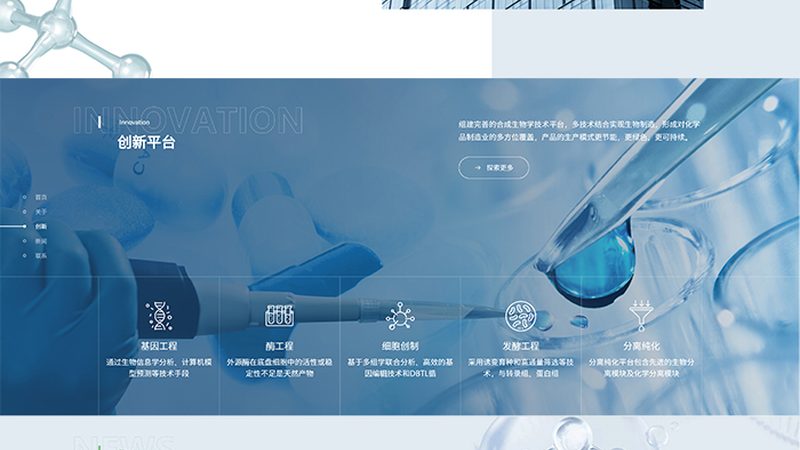 引物合成：大厂与小厂的差异解析**