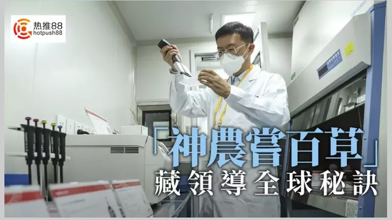 免疫组化抗体稀释比例：如何精准计算**