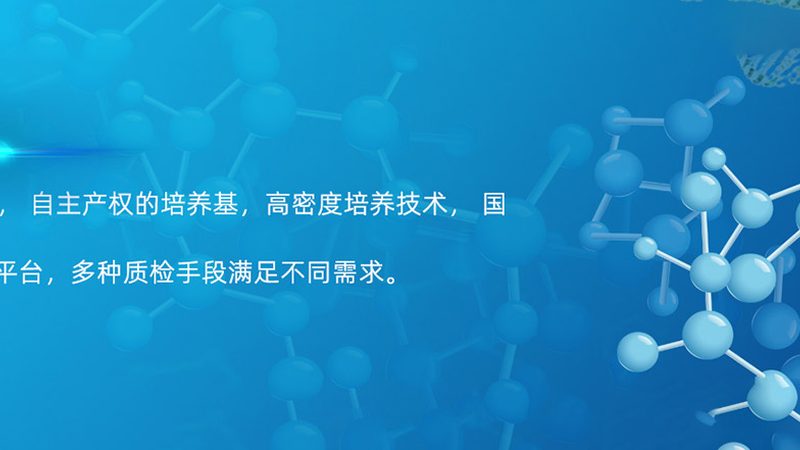 创新药CDMO价格解析：揭秘影响成本的关键因素