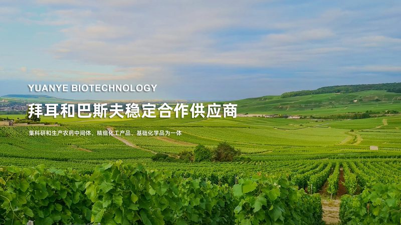 生物医药外包质量控制：如何选择可靠合作伙伴**