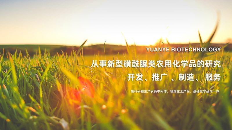 医药外包公司口碑评价：如何从专业角度评估？**