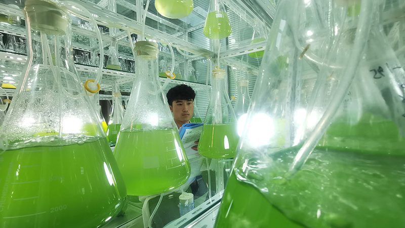 广州生物试剂采购平台：如何选择更合适的合作伙伴**